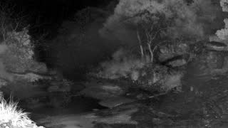Still 1 from this detection