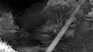 Still 3 from this detection