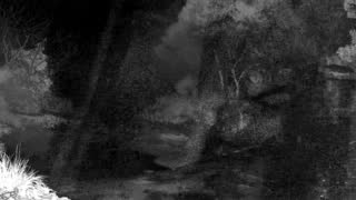 Still 1 from this detection