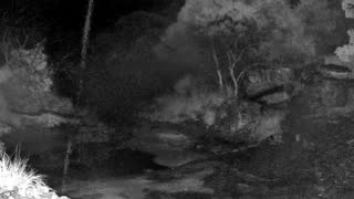 Still 2 from this detection