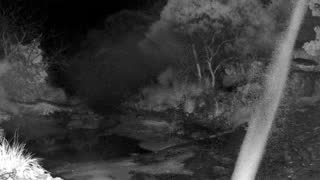 Still 1 from this detection
