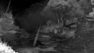 Still 3 from this detection