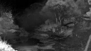 Still 1 from this detection