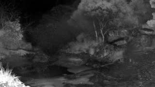 Still 3 from this detection