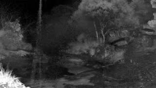 Still 2 from this detection