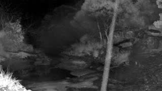 Still 1 from this detection