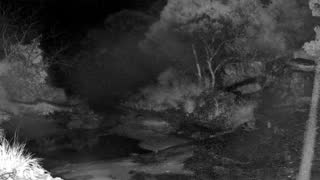 Still 1 from this detection