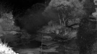 Still 2 from this detection