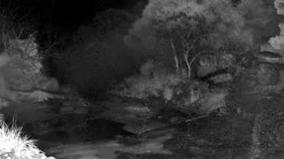 Still 1 from this detection