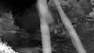 Still 1 from this detection