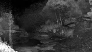 Still 2 from this detection