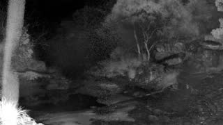 Still 2 from this detection