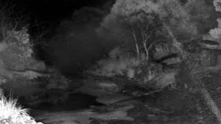 Still 2 from this detection