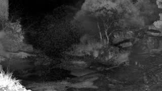 Still 2 from this detection