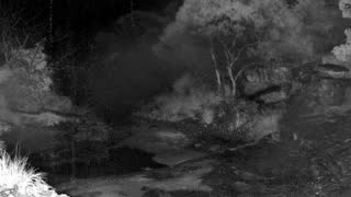 Still 1 from this detection