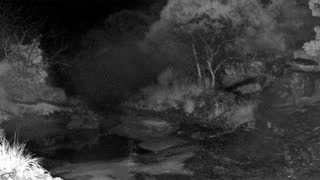 Still 3 from this detection