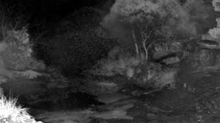 Still 2 from this detection
