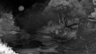 Still 3 from this detection
