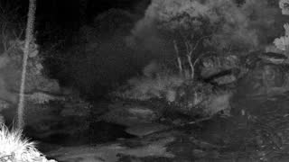 Still 3 from this detection