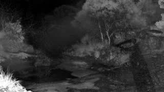 Still 2 from this detection