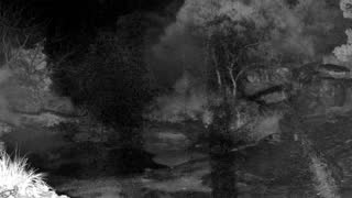 Still 2 from this detection