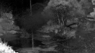 Still 3 from this detection