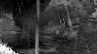 Still 2 from this detection