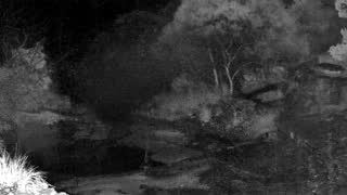 Still 3 from this detection