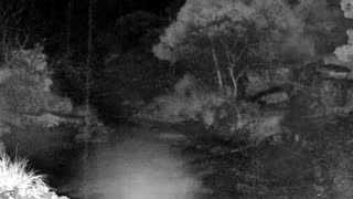 Still 1 from this detection