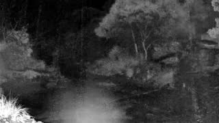 Still 2 from this detection
