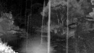 Still 3 from this detection