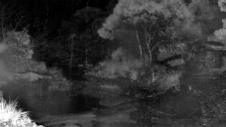 Still 1 from this detection
