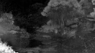 Still 1 from this detection