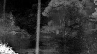 Still 2 from this detection