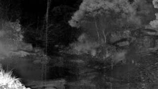 Still 1 from this detection