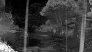 Still 2 from this detection