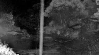 Still 3 from this detection