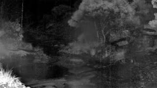 Still 2 from this detection