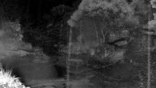 Still 3 from this detection