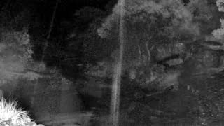 Still 2 from this detection