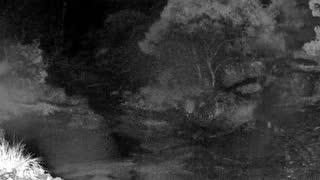 Still 3 from this detection