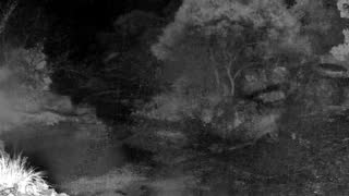 Still 1 from this detection