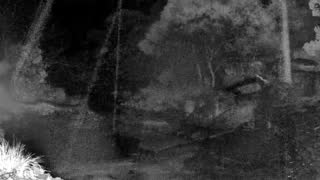 Still 2 from this detection