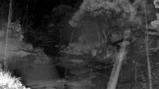 Still 3 from this detection