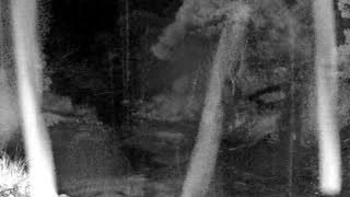 Still 1 from this detection