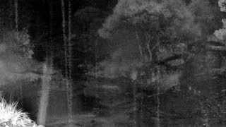 Still 2 from this detection