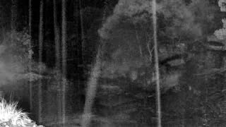 Still 3 from this detection