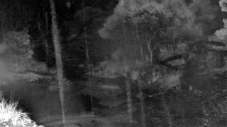 Still 1 from this detection