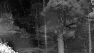 Still 2 from this detection
