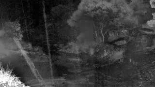 Still 3 from this detection